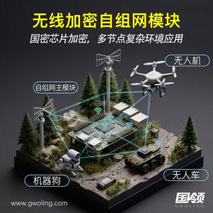 無線加密自組網模塊